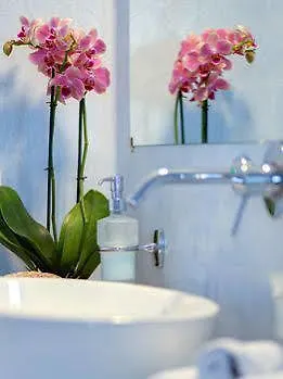 Hotell Desiterra & 4*